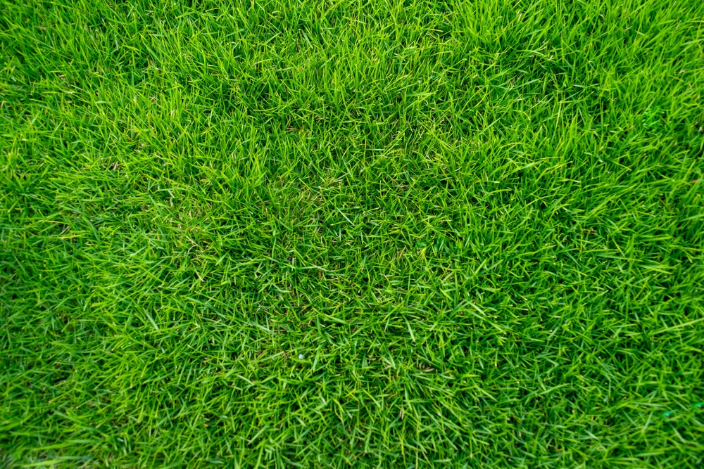 Landscaping & Equipment Hire in Kettering