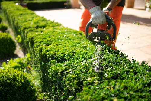 Landscaping & Equipment Hire in Kettering