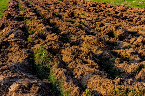 Landscaping & Equipment Hire in Kettering